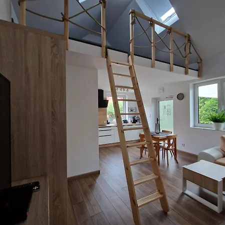 Διαμέρισμα Loft *